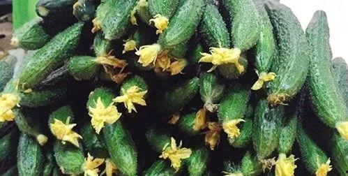 小花花吃瓜,揭秘娱乐圈那些不为人知的幕后故事