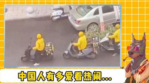 吃瓜基因的强大表现,揭秘人类天生“吃瓜”的奥秘