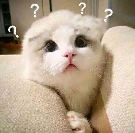 赵粤吃瓜,揭秘娱乐圈背后的那些事儿