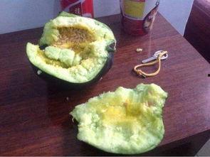 农村吃瓜bgm,瓜香四溢的悠闲时光