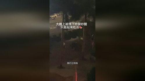 大半夜起床吃瓜,揭秘那些大半夜的八卦风云