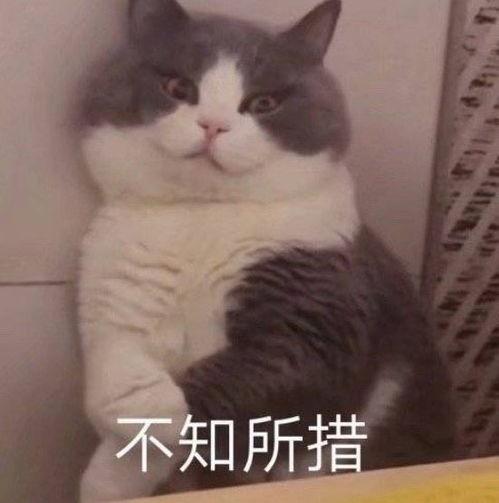 吃瓜 口罩 表情包,表情包里的防疫生活