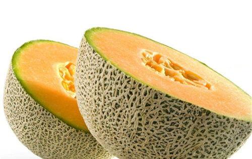 金鱼吃哈密瓜,哈密瓜的奇妙滋味