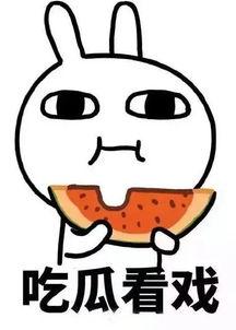 近期热门吃瓜事件讲话,真相与舆论的碰撞