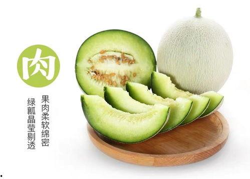 生的网纹瓜怎么吃,探索生的网纹瓜的多重美味享用方式