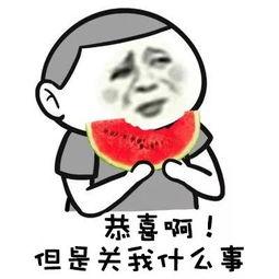 vivox50吃瓜群众,吃瓜群众眼中的性能与时尚新宠