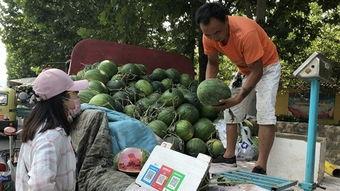 济宁天台吃瓜事件,一场网络热议背后的真相揭秘