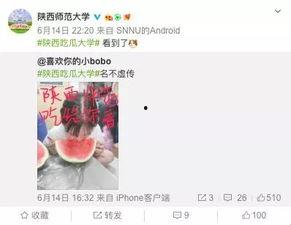 高校免费吃瓜网站